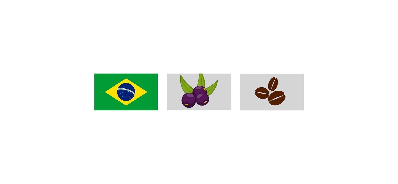 AMAZON BERRY CO