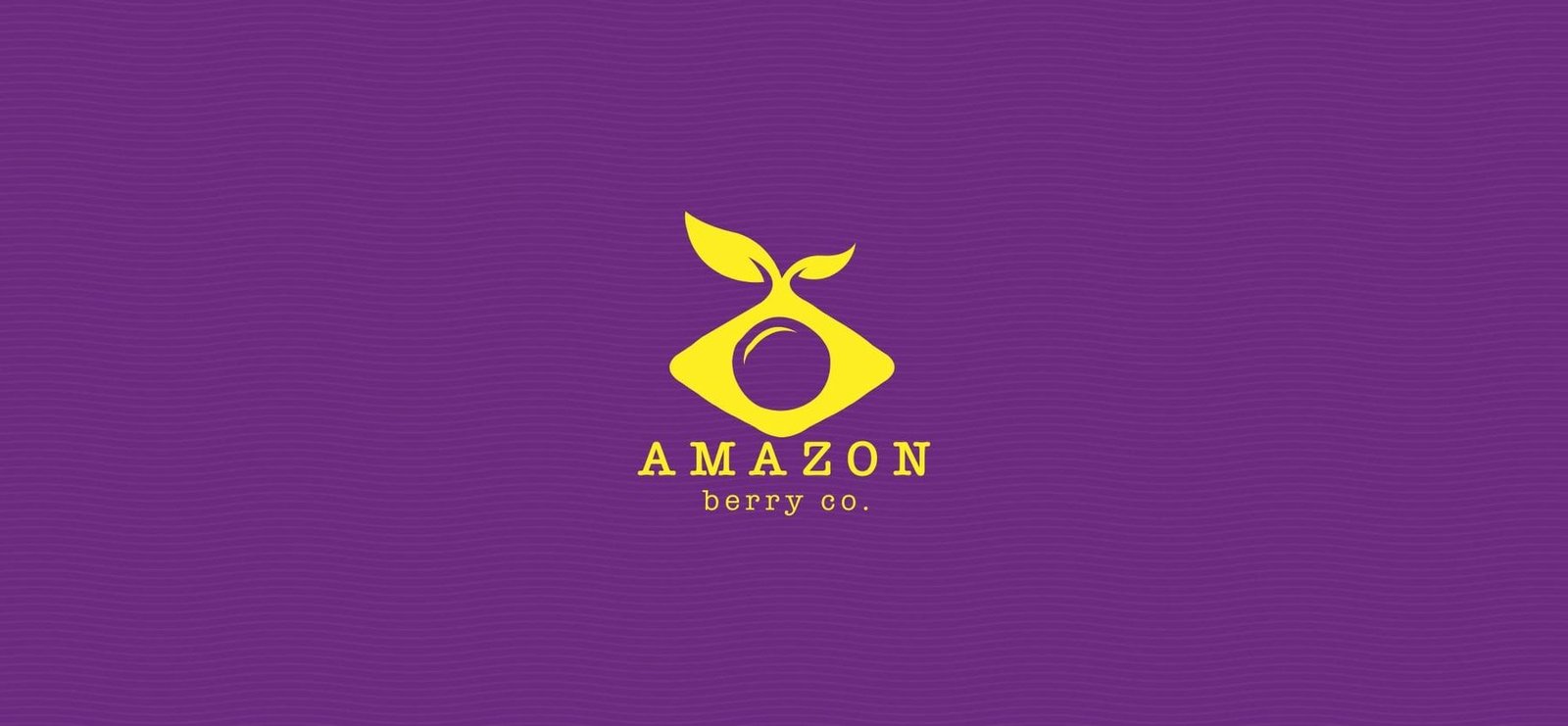 AMAZON BERRY CO