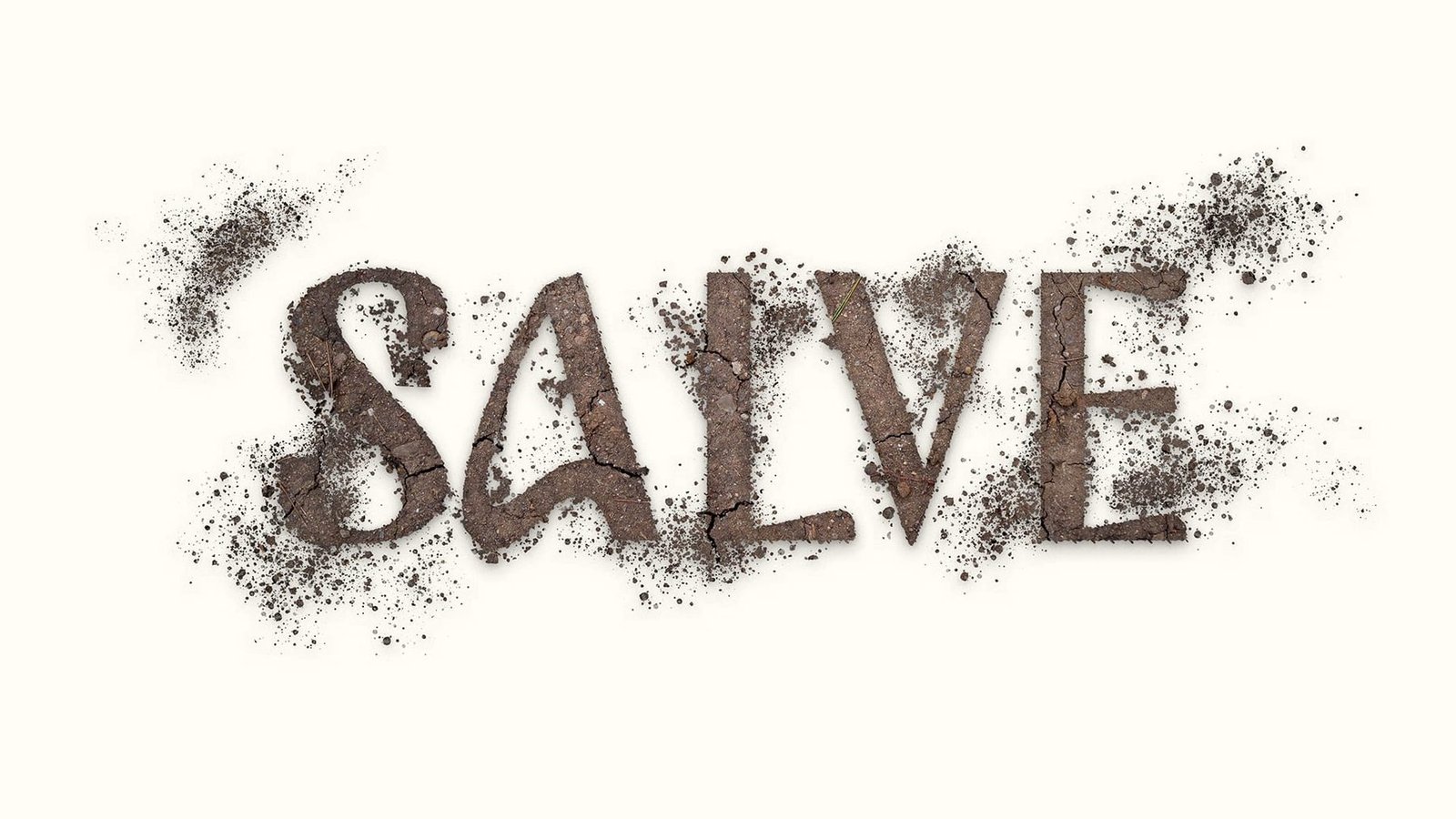 SALVE CULTURA DA ARTE
