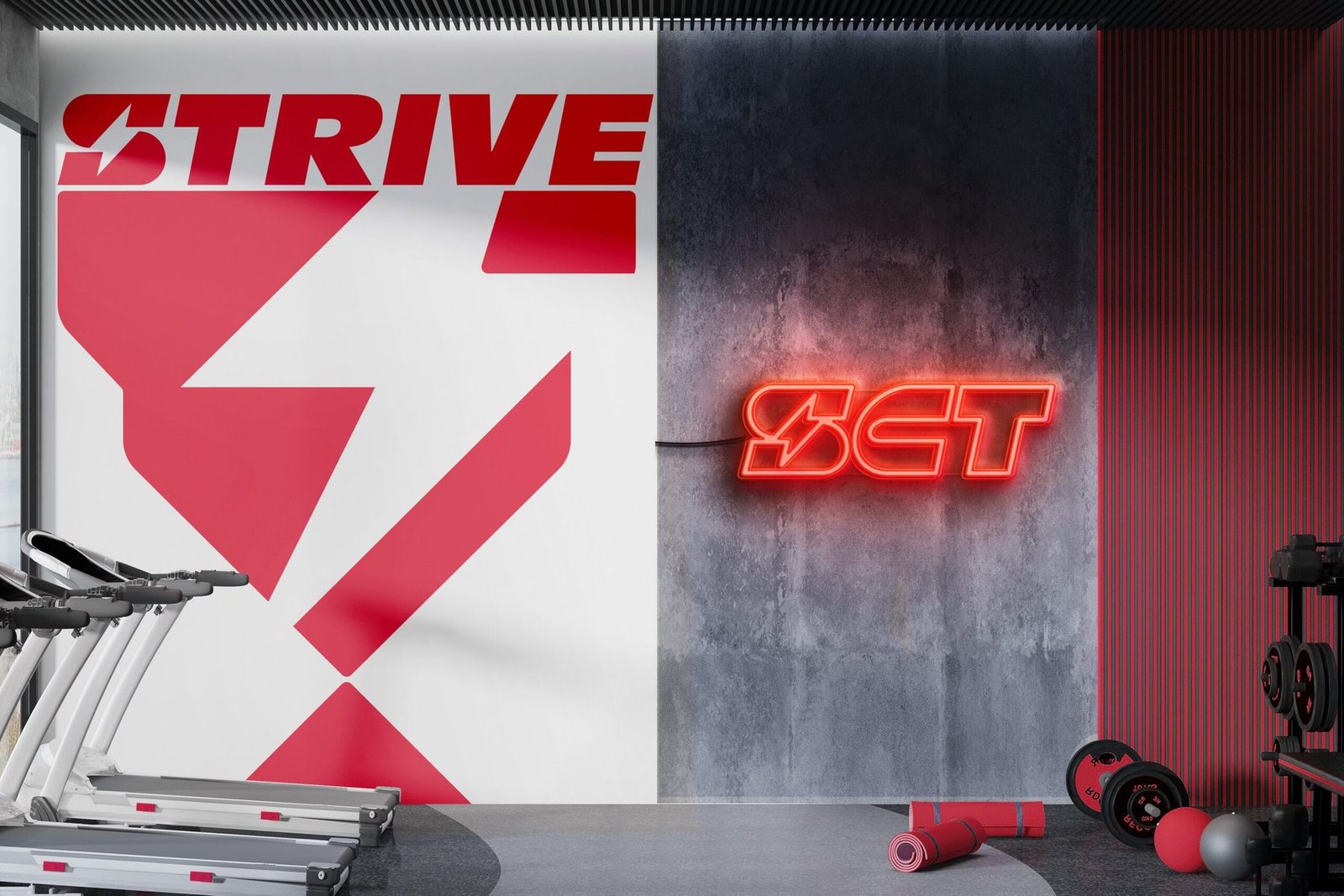 STRIVE CT